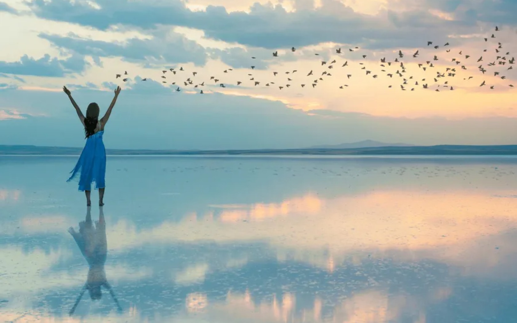 freedom-pictures-6vac13u5sxxt6yv6